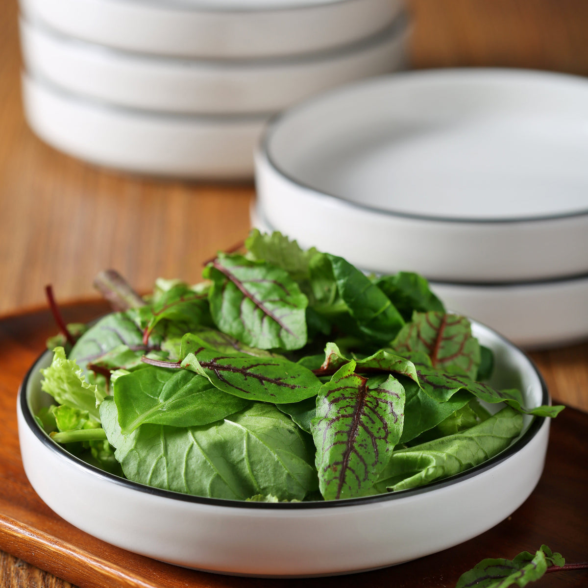 Tasali Porcelain Plates set of 6 – طقم أطباق بورسلين، 6 قطع