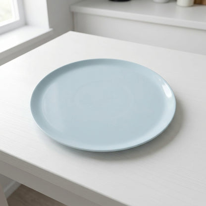 Litblu 6 Porcelain Plate set | Dinner or Steak plate 27 cm